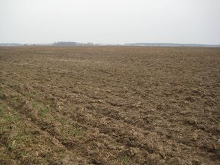 Property photo 18 - 414.5 +/- Acres Offered in 6 Tracts - Prime Indiana Farmland